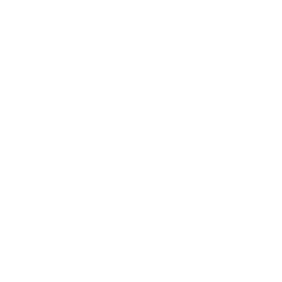 Experiência Internacional